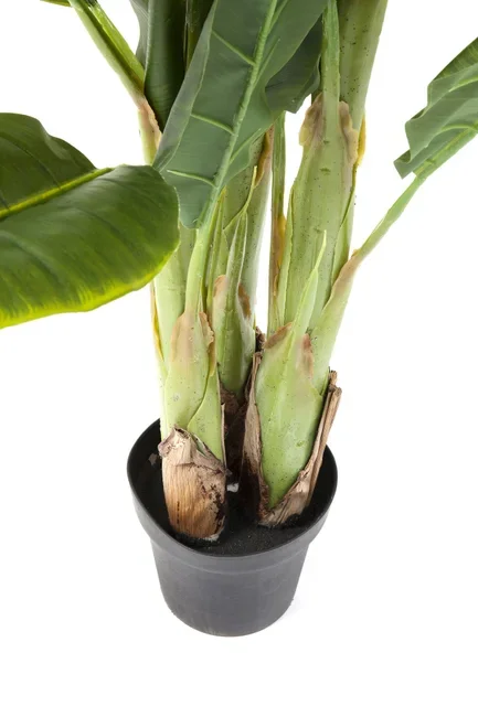 KARE DESIGN Banana Tree kunstig plante - grn ethylenvinylacetat og polyethylen (H:180cm)