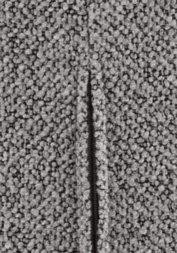 ACT NORDIC Patricia spisebordsstol - gr stof og sort metal