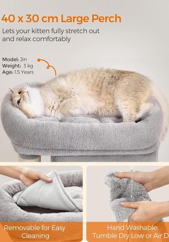 Feandrea kattetr, 67 cm kattetrn, S, kattelejlighed til killinger op til 3 kg, stor katteaborre, 2 kattehuler, kradsestolpe, lysegr PCT611W01