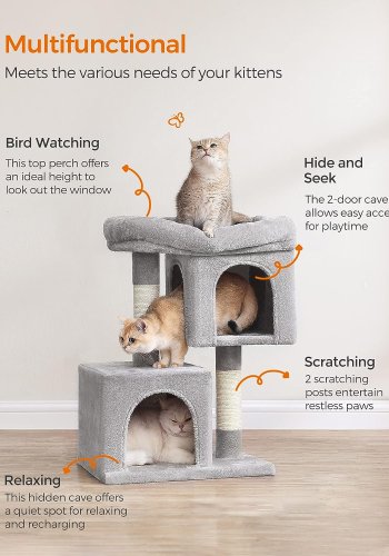 Feandrea kattetr, 67 cm kattetrn, S, kattelejlighed til killinger op til 3 kg, stor katteaborre, 2 kattehuler, kradsestolpe, lysegr PCT611W01