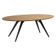 DAN-FORM ECLIPSE Spisebord Eg finér bordplade, oval, med udtrk