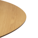 DAN-FORM ECLIPSE Spisebord Eg finér bordplade, oval, med udtrk