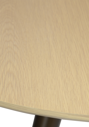 DAN-FORM ECLIPSE Spisebord Bordplade af hvidkalket egefiner, oval, med udtrk