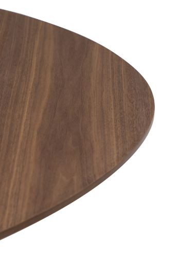 DAN-FORM ECLIPSE Spisebord Bordplade af valndfiner, oval, med udtrk