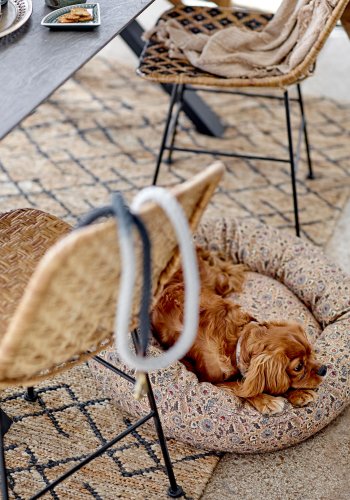 BLOOMINGVILLE Vittoria Hundeseng, Brun, Bomuld