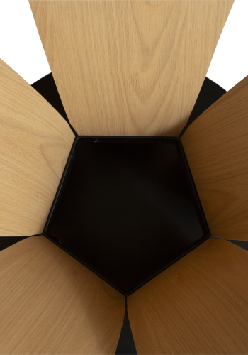 DAN-FORM EPIC Bord Hvidkalket egetrsfiner