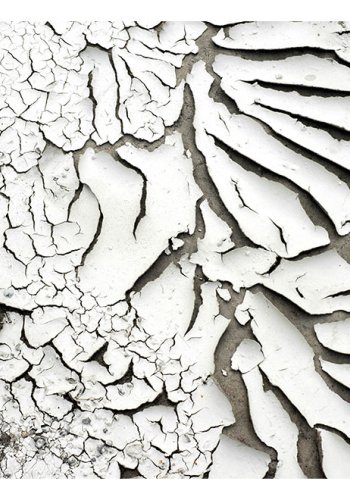 ARTGEIST - Fototapet af krakeleret hvid maling p beton - Flere strrelser
