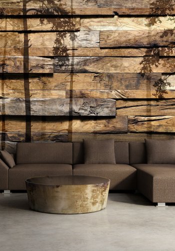 ARTGEIST Fototapet - Shadow of Trees, silhouette af trer (flere strrelser)