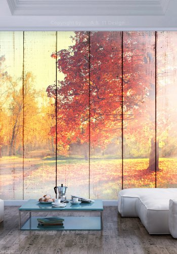 ARTGEIST Fototapet - Autumn Sun, efterrs-sol (flere strrelser)