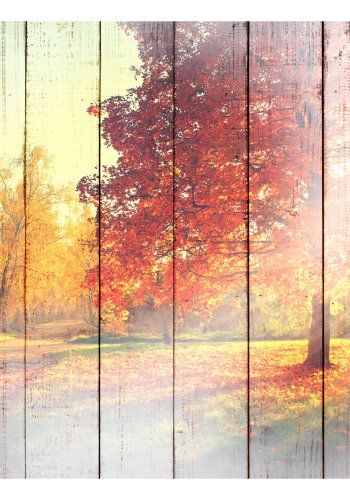 ARTGEIST Fototapet - Autumn Sun, efterrs-sol (flere strrelser)