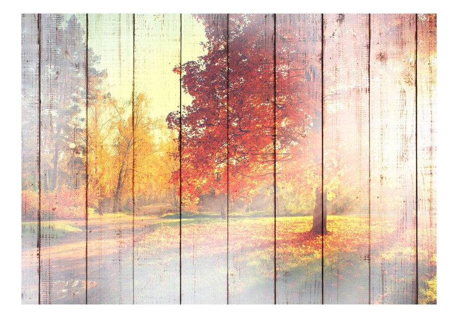 ARTGEIST Fototapet - Autumn Sun, efterrs-sol (flere strrelser)