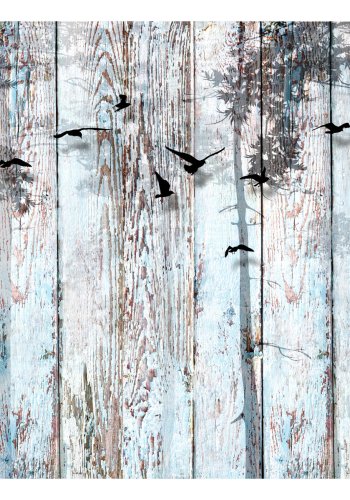 ARTGEIST Fototapet - Close to Nature fugle p trbaggrund (flere strrelser)