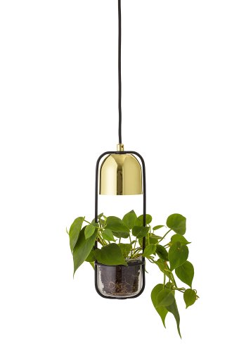 BLOOMINGVILLE Gullak Pendel, Guld, Metal