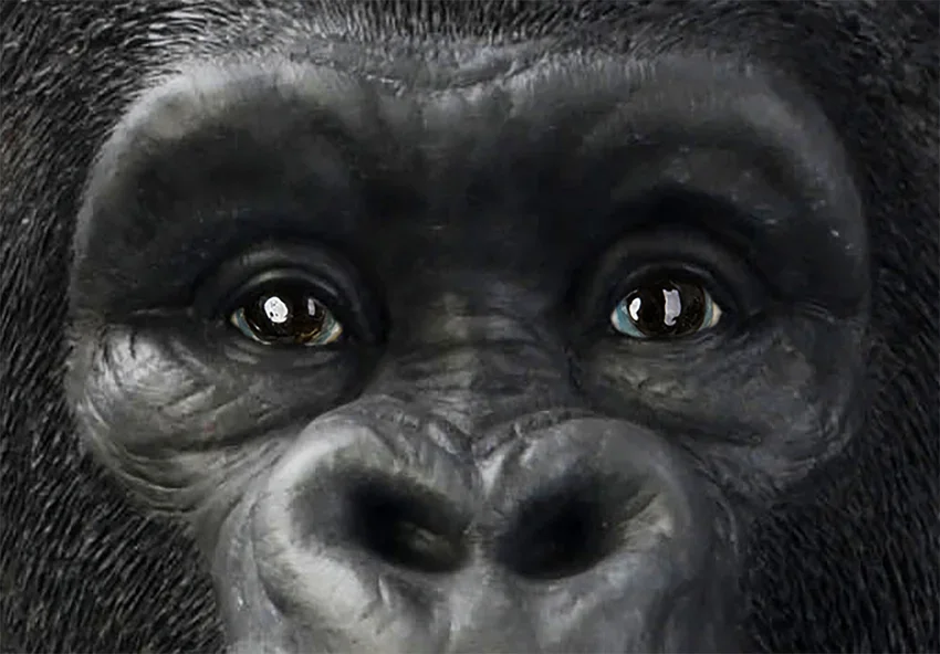 KARE DESIGN Monkey Gorilla Front XXL figur - polyresin (H:107cm)