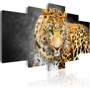 ARTGEIST billede trykt p lrred - Green-eyed leopard, 5-delt - Flere strrelser