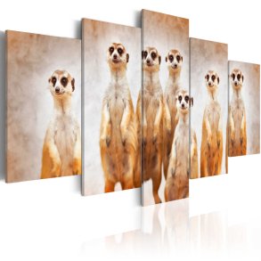 ARTGEIST billede trykt p lrred - Family of meerkats, 5-delt - Flere strrelser