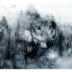 ARTGEIST Fototapet - Mountain Predator (Black and White) ulv (flere strrelser)