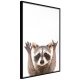 ARTGEIST Plakat med ramme - Funny Racoon