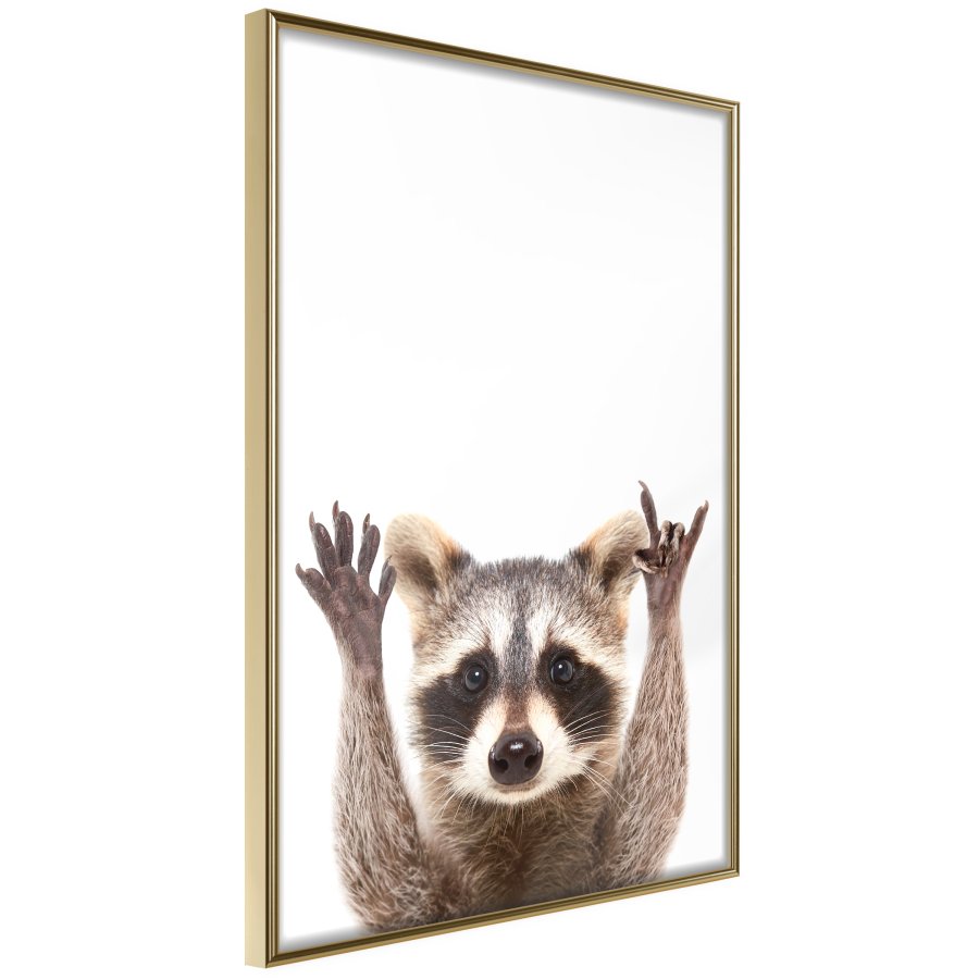 ARTGEIST Plakat med ramme - Funny Racoon
