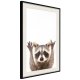 ARTGEIST Plakat med ramme - Funny Racoon
