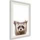 ARTGEIST Plakat med ramme - Funny Racoon