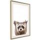 ARTGEIST Plakat med ramme - Funny Racoon