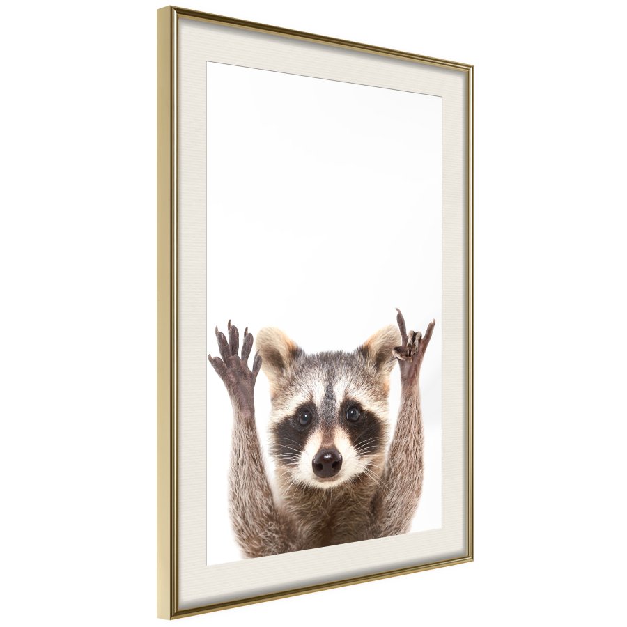 ARTGEIST Plakat med ramme - Funny Racoon