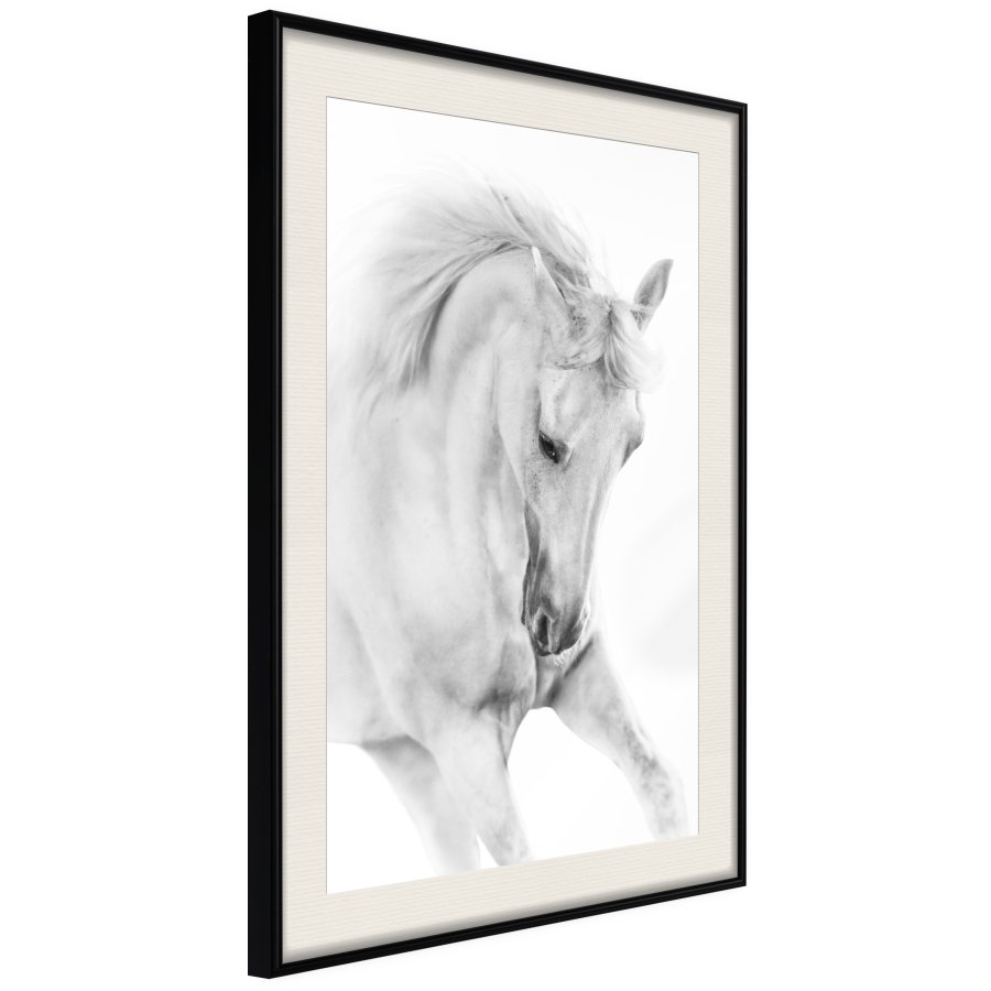 ARTGEIST Plakat med ramme - Beauty in Motion