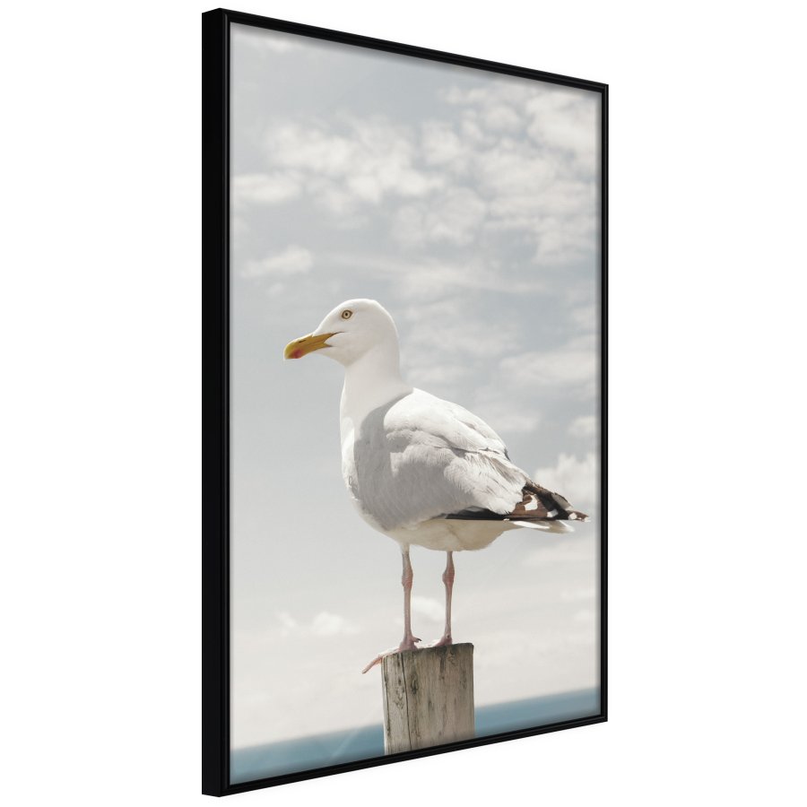 ARTGEIST Plakat med ramme - Curious Seagull