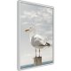 ARTGEIST Plakat med ramme - Curious Seagull