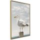 ARTGEIST Plakat med ramme - Curious Seagull