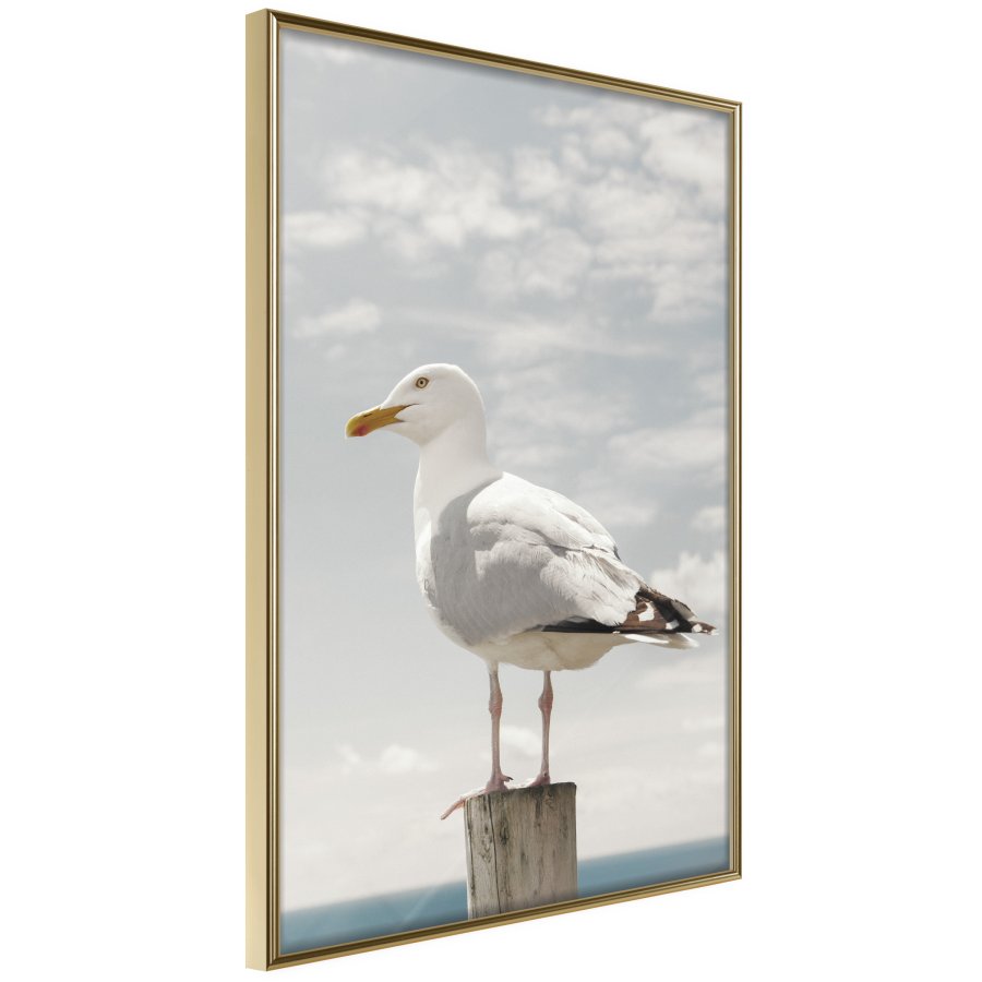 ARTGEIST Plakat med ramme - Curious Seagull