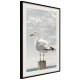 ARTGEIST Plakat med ramme - Curious Seagull
