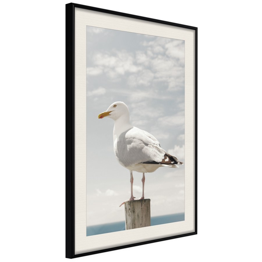 ARTGEIST Plakat med ramme - Curious Seagull