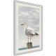 ARTGEIST Plakat med ramme - Curious Seagull