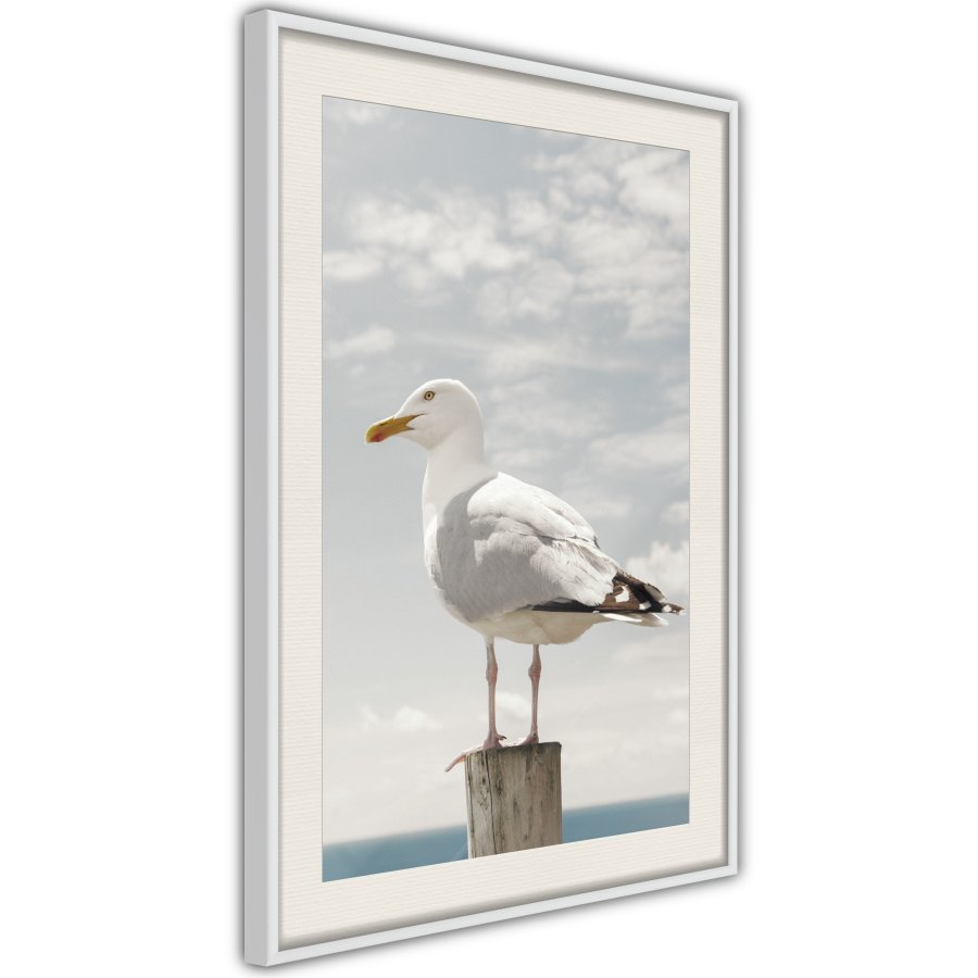 ARTGEIST Plakat med ramme - Curious Seagull