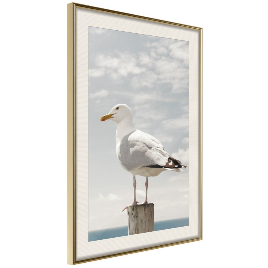 ARTGEIST Plakat med ramme - Curious Seagull