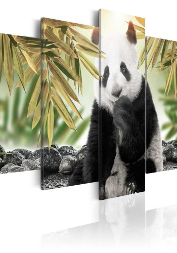 ARTGEIST billede trykt p lrred - Cute Panda Bear, 5-delt - Flere strrelser