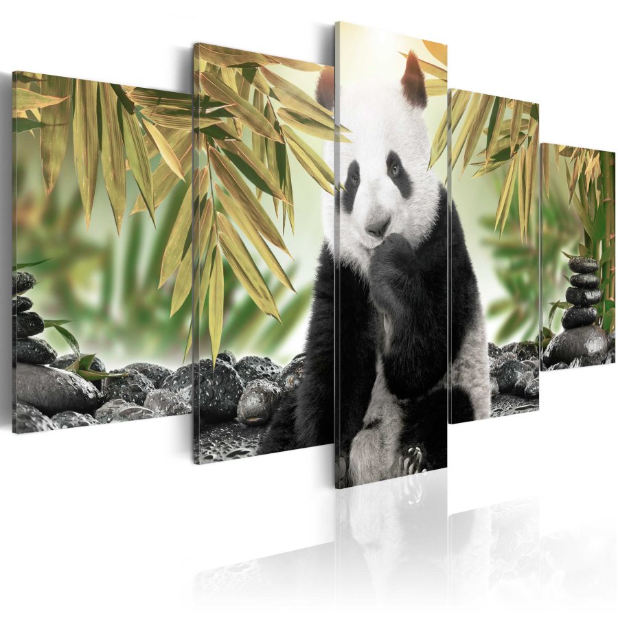 ARTGEIST billede trykt p lrred - Cute Panda Bear, 5-delt - Flere strrelser