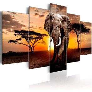 ARTGEIST billede trykt p lrred - Elephant Migration, 5-delt - Flere strrelser