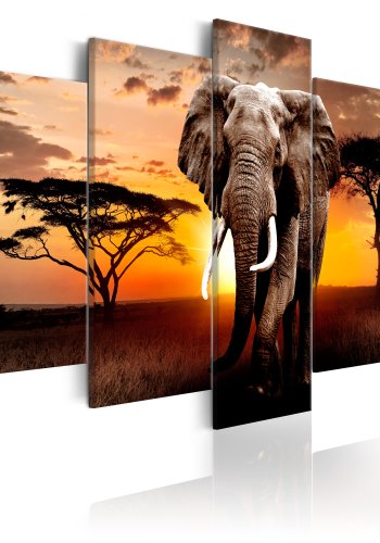 ARTGEIST billede trykt p lrred - Elephant Migration, 5-delt - Flere strrelser