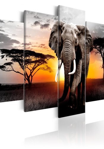 ARTGEIST billede trykt p lrred - Elephant at Sunset, 5-delt - Flere strrelser