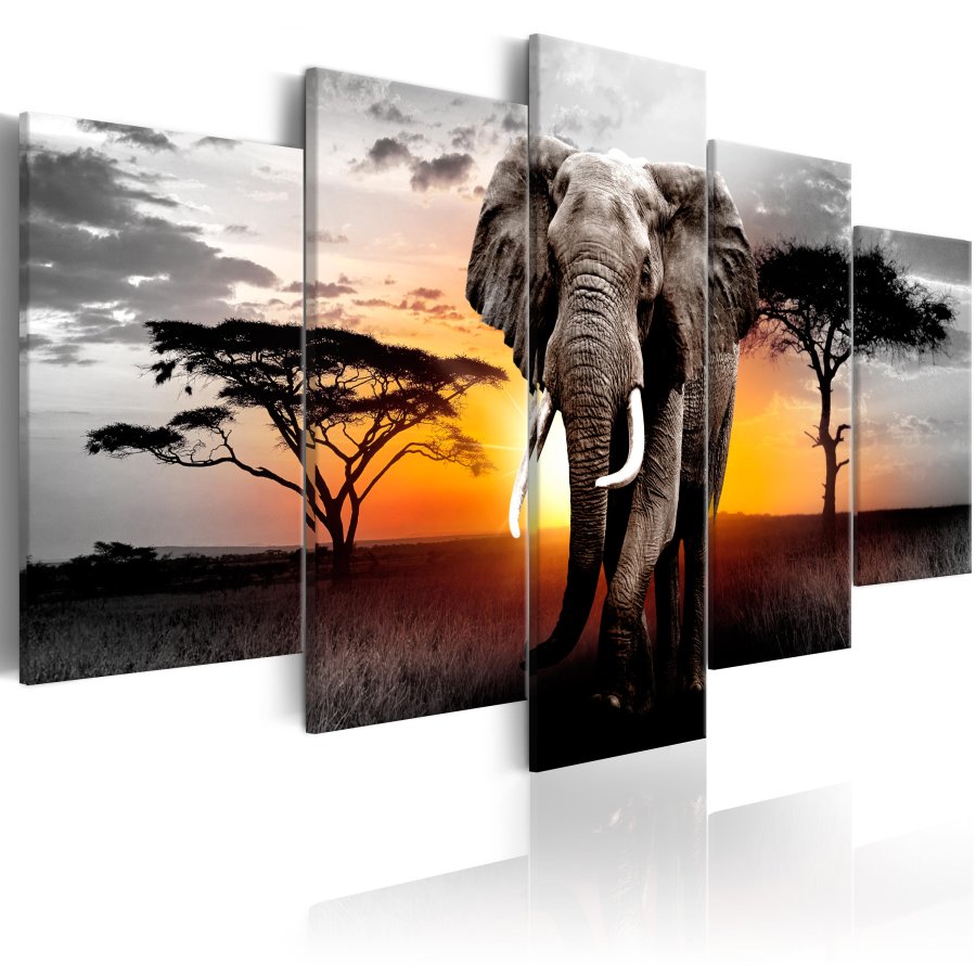 ARTGEIST billede trykt p lrred - Elephant at Sunset, 5-delt - Flere strrelser