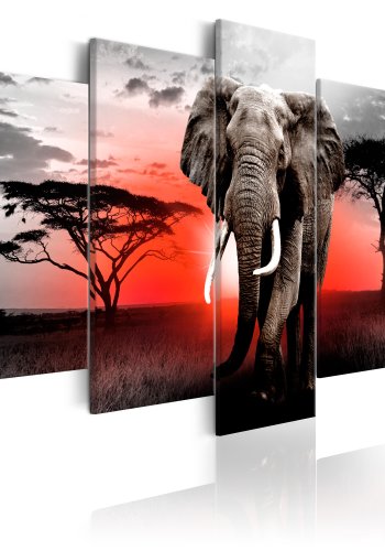 ARTGEIST billede trykt p lrred - Lonely Elephant, 5-delt