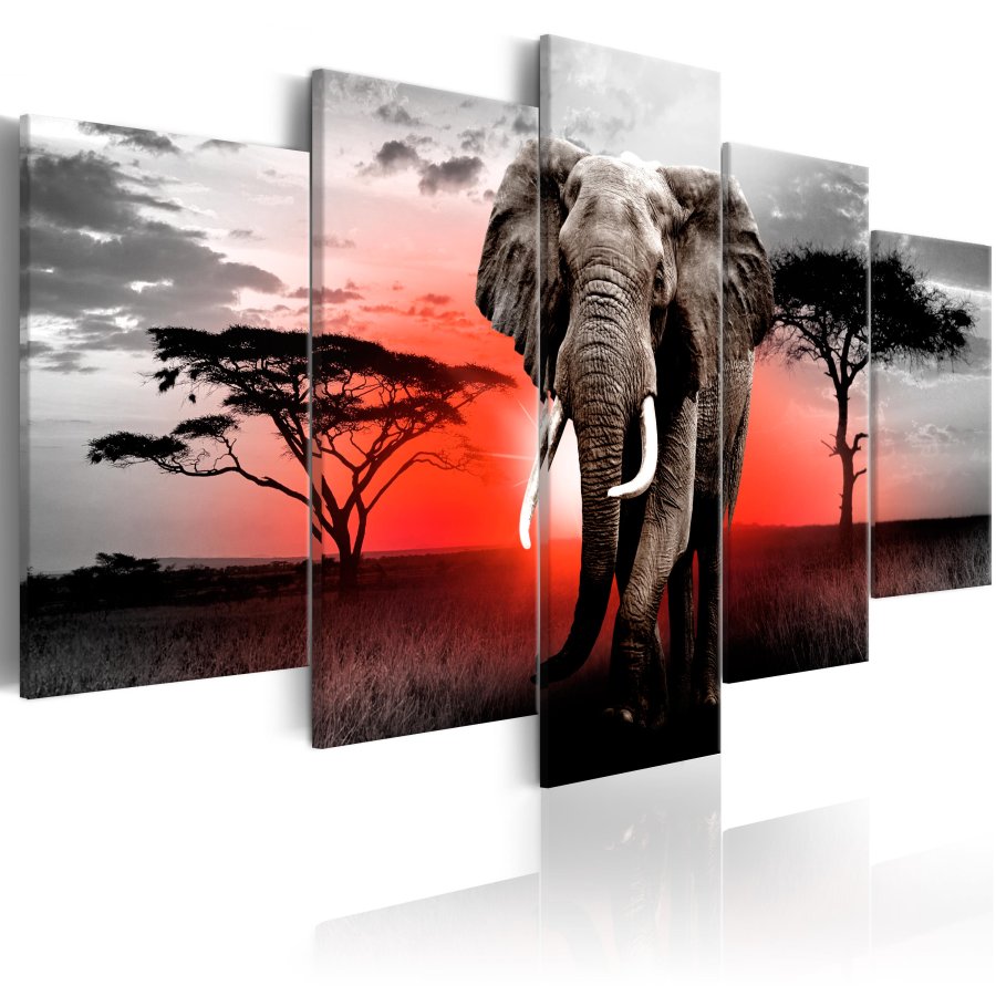 ARTGEIST billede trykt p lrred - Lonely Elephant, 5-delt
