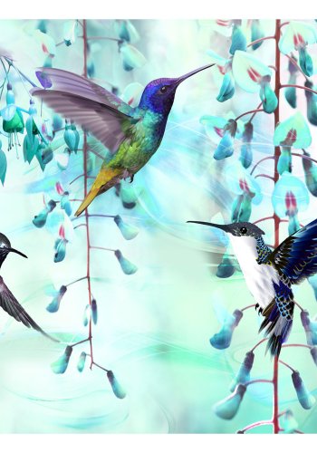 ARTGEIST Fototapet - Flying Hummingbirds (Green), grnne kolibrier (flere strrelser)