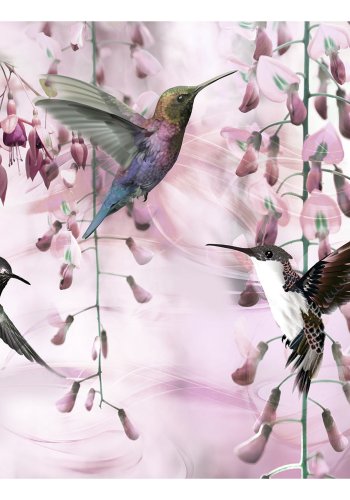 ARTGEIST Fototapet - Flying Hummingbirds (Pink), lyserde kolibrier (flere strrelser)