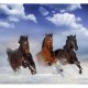 ARTGEIST Fototapet - Horses in the Snow, 3 heste i sneen (flere strrelser)