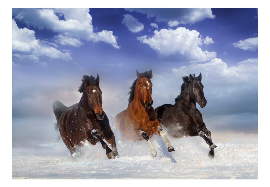 ARTGEIST Fototapet - Horses in the Snow, 3 heste i sneen (flere strrelser)