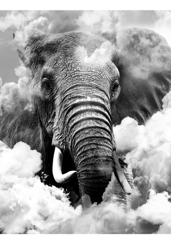 ARTGEIST Fototapet - Elephant in the Clouds (Black and White), elefant i skyerne (flere strrelser)